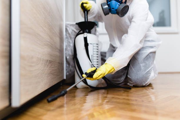 Best Best Pest Control Companies  in Twin City, GA