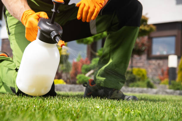 Best Commercial Pest Control Services  in Twin City, GA