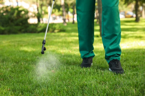 Best Pest Control for Businesses  in Twin City, GA