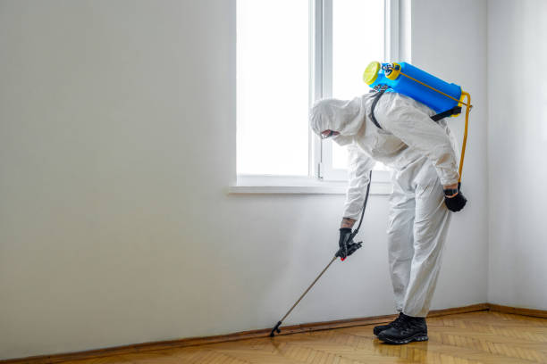 Best Pest Inspection Near Me  in Twin City, GA
