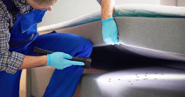Best Cockroach Control Services  in Twin City, GA