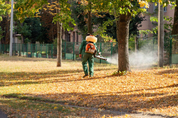 Best Best Pest Control Near Me  in Twin City, GA