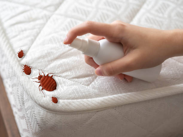 Best Residential Pest Control  in Twin City, GA