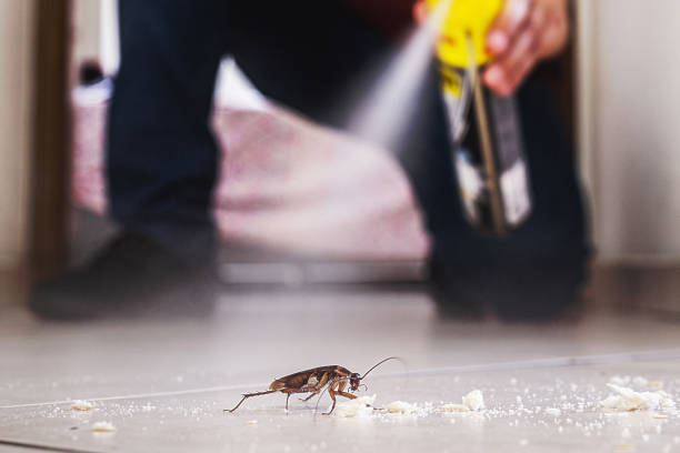 Best Rodent Control Near Me  in Twin City, GA
