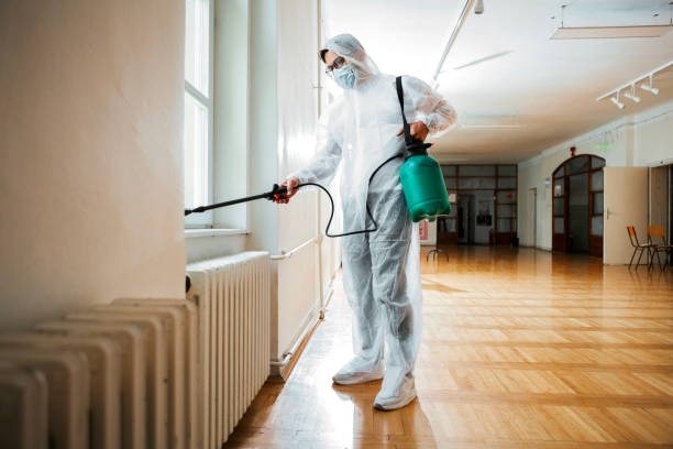 Best Flea Control Services  in Twin City, GA