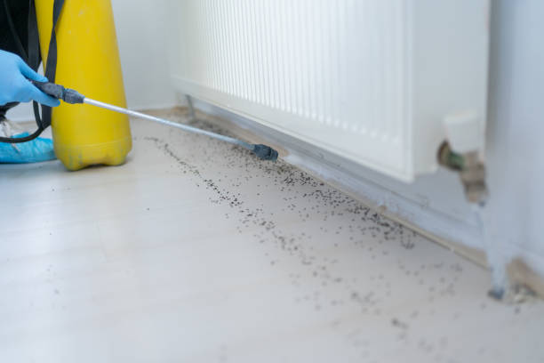 Best Insect Control  in Twin City, GA