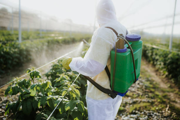 Best Pest Removal Services  in Twin City, GA